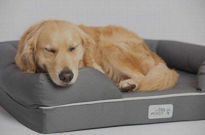 Las mejores marcas de camas cama perro ergonómica
