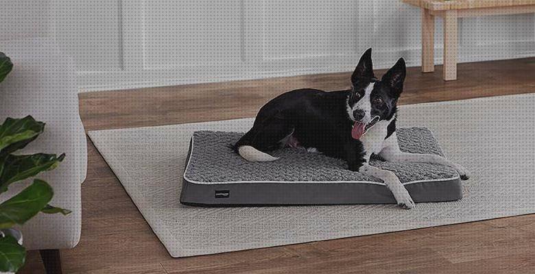 Análisis de los 13 mejores Colchon Ergonómico Para Perros