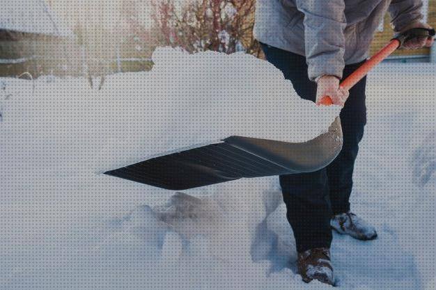 ¿Dónde poder comprar palas pala nieve ergonómica?