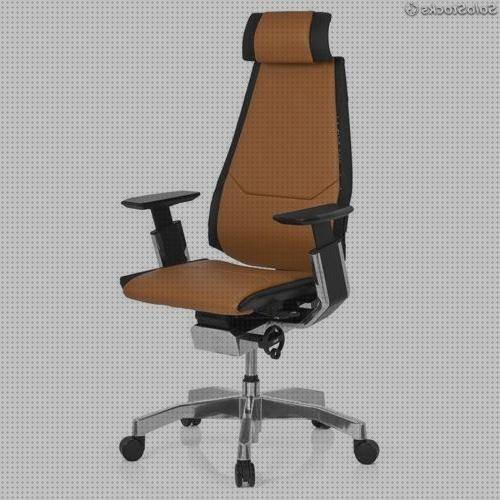 ¿Dónde poder comprar ergonómicos balancines silla ergonómica de cuero marron?