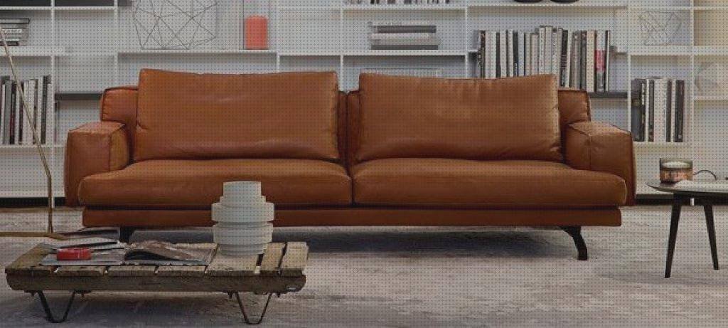 Análisis de los 20 mejores Sofas Ergonómicos Pieles